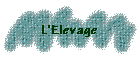 L'Elevage