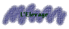 L'Elevage